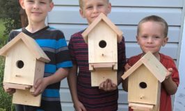 Building Birdhouses With My Nephews